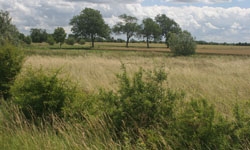 Lark Rise Appeal